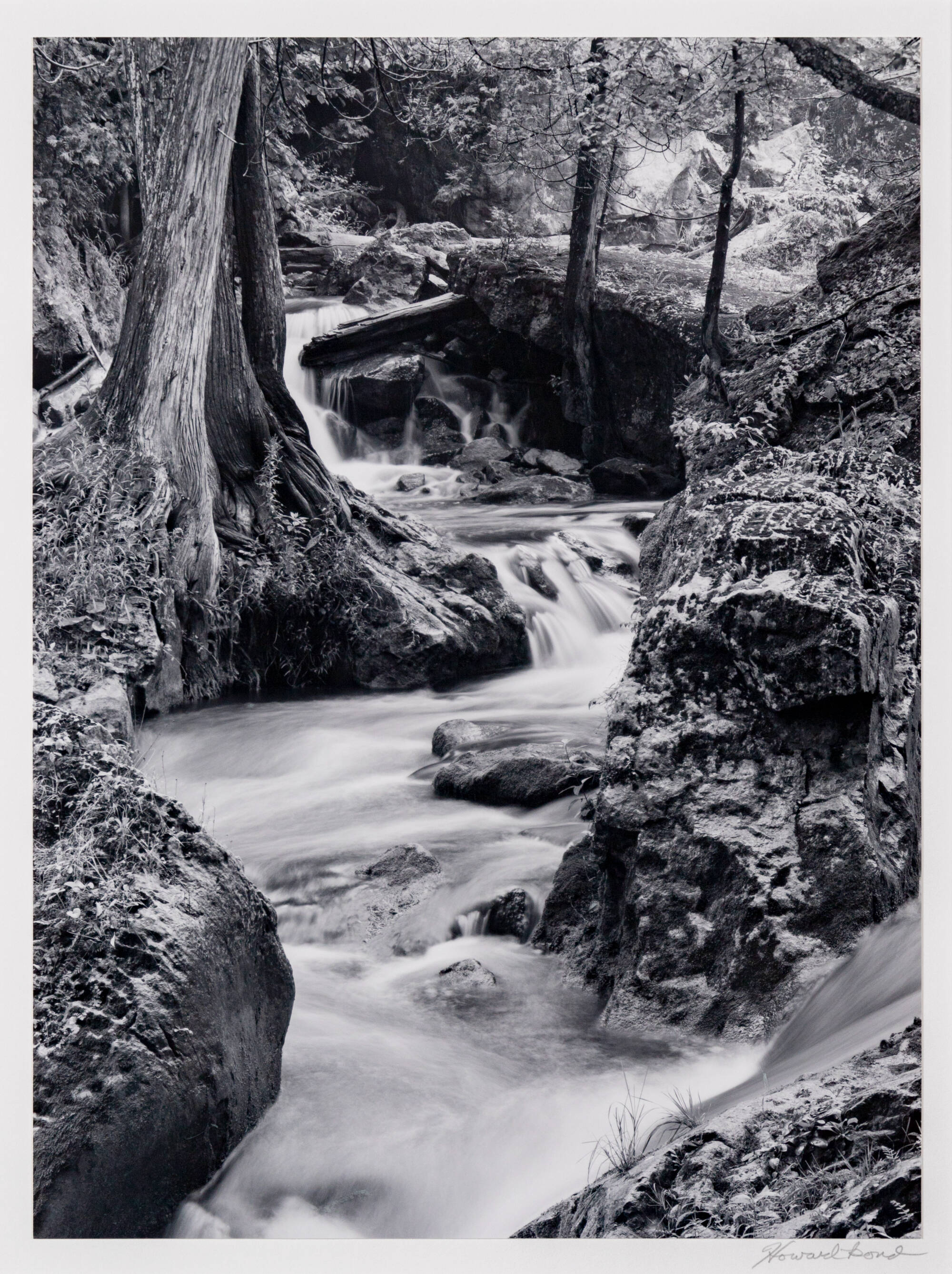Black and white photograph of a stream flowing through a forest.
